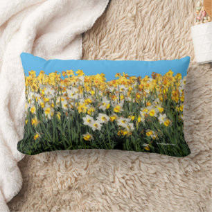 Stunning Two-Tone Medley of Daffodil Flowers Lumbar Cushion