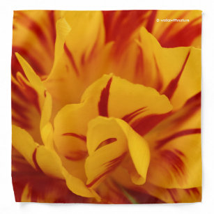 Stunning Two-Tone Red Yellow Monsella Tulips Bandana