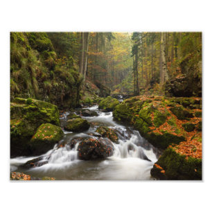 Stunning Valley of river Doubrava Photo Print