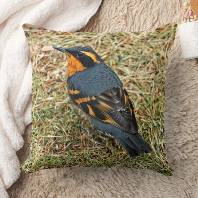 Stunning Varied Thrush on the Lawn Cushion (Blanket)