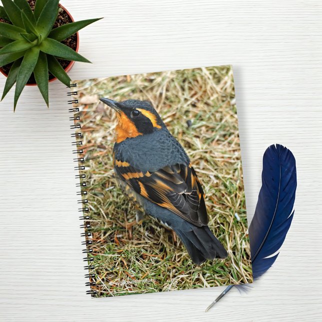 Stunning Varied Thrush on the Lawn Notebook (Varied Thrush on the Grass Journal Cover Photo)