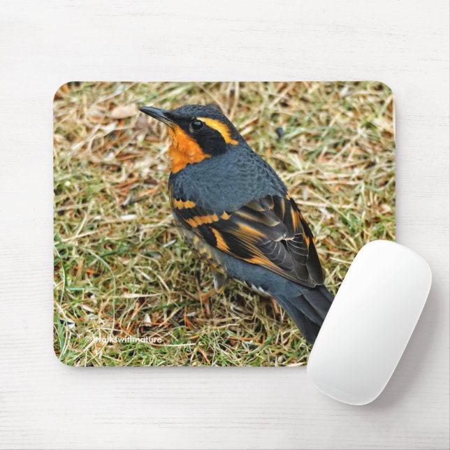 Stunning Varied Thrush Songbird in the Grass Mouse Pad (With Mouse)