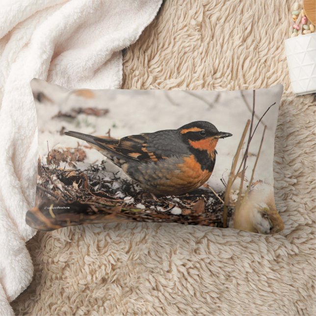 Stunning Varied Thrush Songbird in the Snow Lumbar Cushion (Blanket)