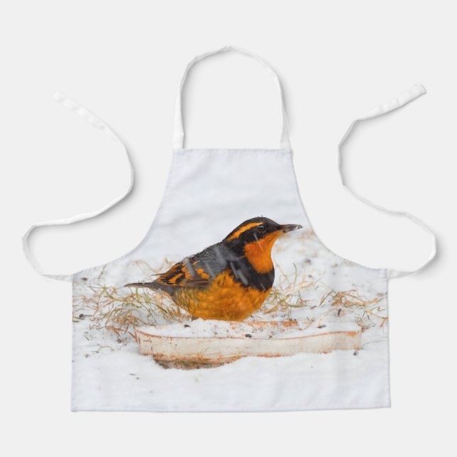 Stunning Varied Thrush Songbird on Snowy Day Apron (Front)