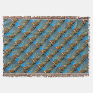 Stunning! Venezia Grand Canal Venice - Pro Photo Throw Blanket