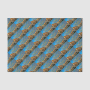 Stunning! Venezia Grand Canal Venice - Pro Photo Tissue Paper