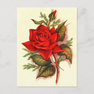 Stunning Victorian Red Roses Bouquet Postcard
