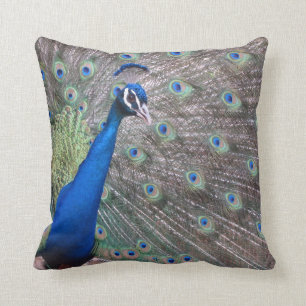 Stunning Vintage Peacock Cushion