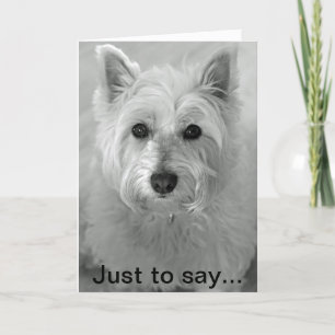 Stunning Westie Dog - Sorry Card