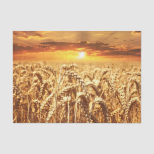 Stunning wheat field sunset tissue paper