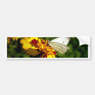 Stunning White Butterfly on Yellow & Red Flower Bumper Sticker