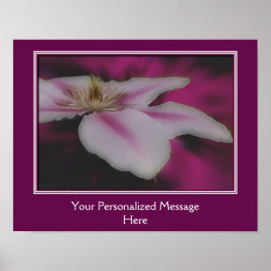 Stunning White Clematis Flower Personalised Poster