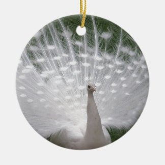 Stunning white Peacock ( Peafowl) full plume Ceramic Tree Decoration