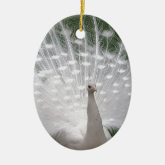 Stunning white Peacock ( Peafowl) full plume Ceramic Tree Decoration