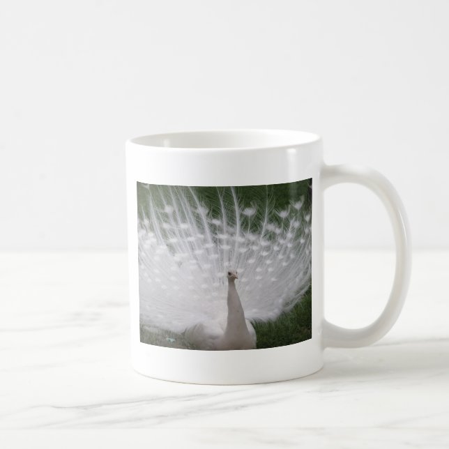 Stunning white Peacock ( Peafowl) full plume Coffee Mug (Right)