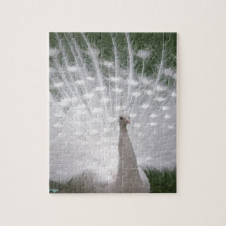 Stunning white Peacock ( Peafowl) full plume Jigsaw Puzzle