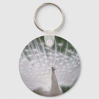 Stunning white Peacock ( Peafowl) full plume Key Ring