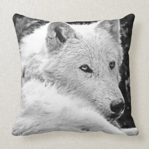 Stunning White Wolf Cushion