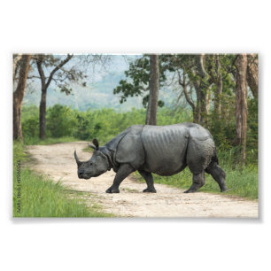 Stunning Wildlife Art for Your Space Photo Print