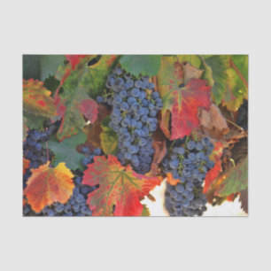 Stunning Wine Vineyard Tissue Paper