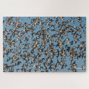 Stunning Winter Ducks in Flight Jigsaw Puzzle