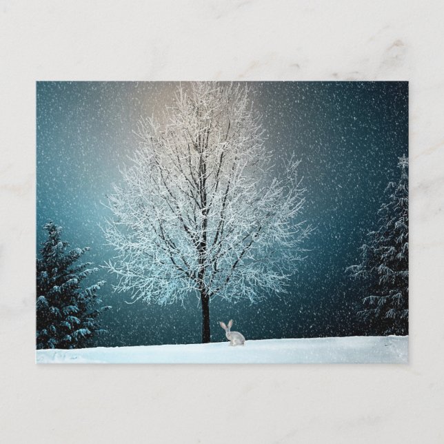 Stunning Winter Tree - Complete with Rabbit! Postcard (Front)
