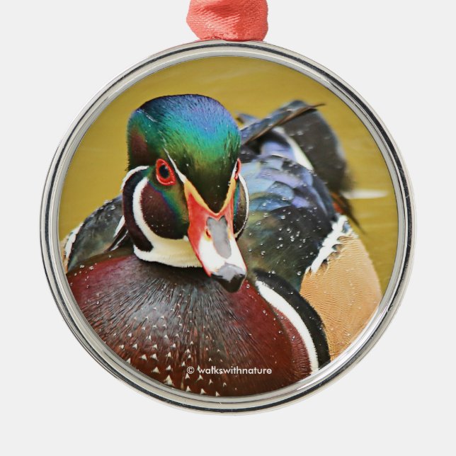 Stunning Wood Duck in the Pond Metal Ornament (Front)