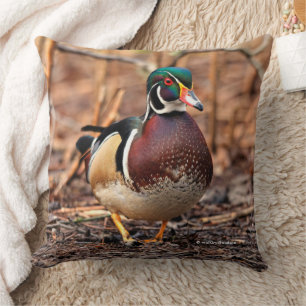 Stunning Wood Duck in the Woods Cushion