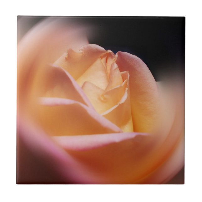 Stunning Yellow Rose Flower Tile (Front)