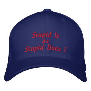 Stupid Is, as, Stupid Does ! Embroidered Hat