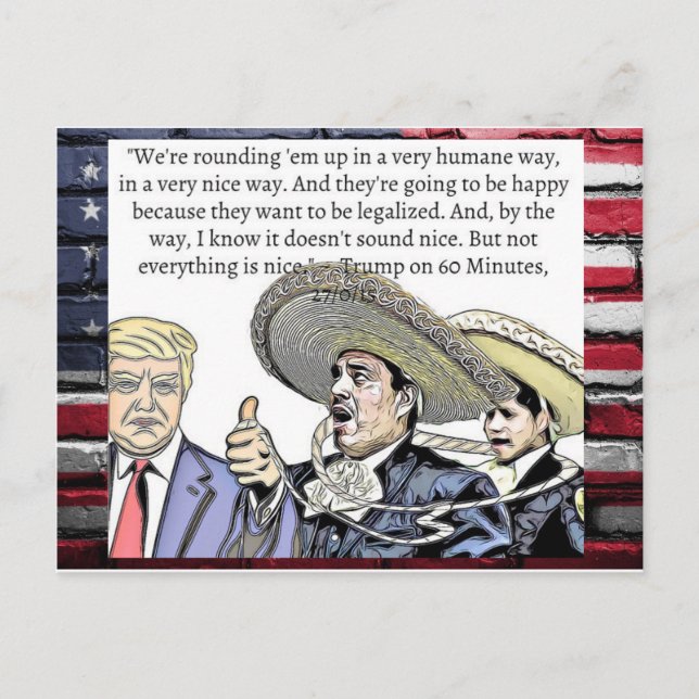 Stupid Things Trump has said Postcard Souvenir (Front)