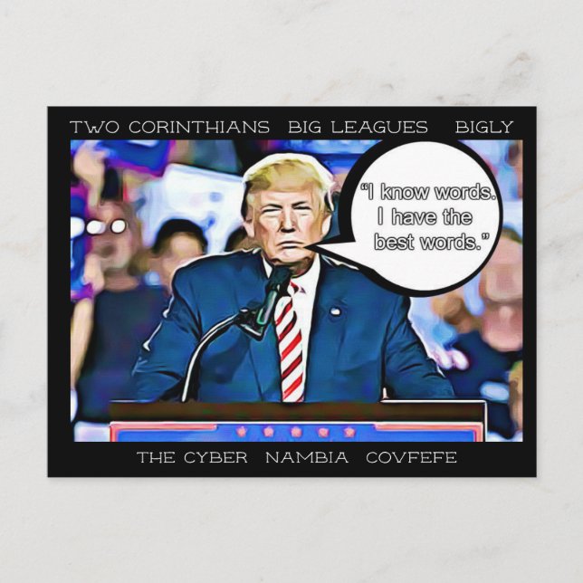 Stupid Things Trump has said Postcard Souvenir (Front)