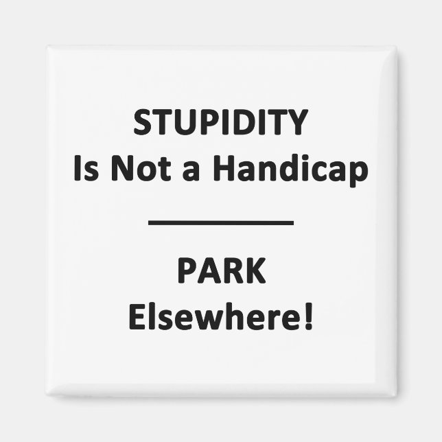 Stupidity is not a Handicap. Magnet (Front)