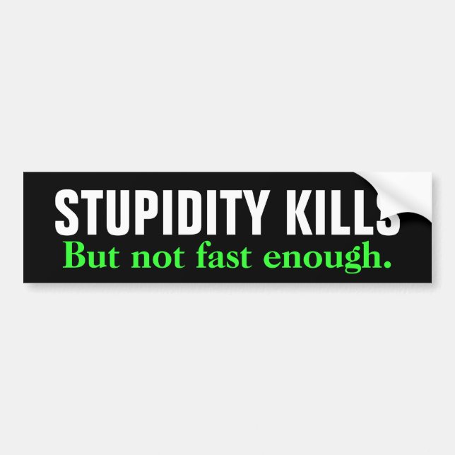 STUPIDITY KILLS But not fast enough. Bumper Sticker (Front)