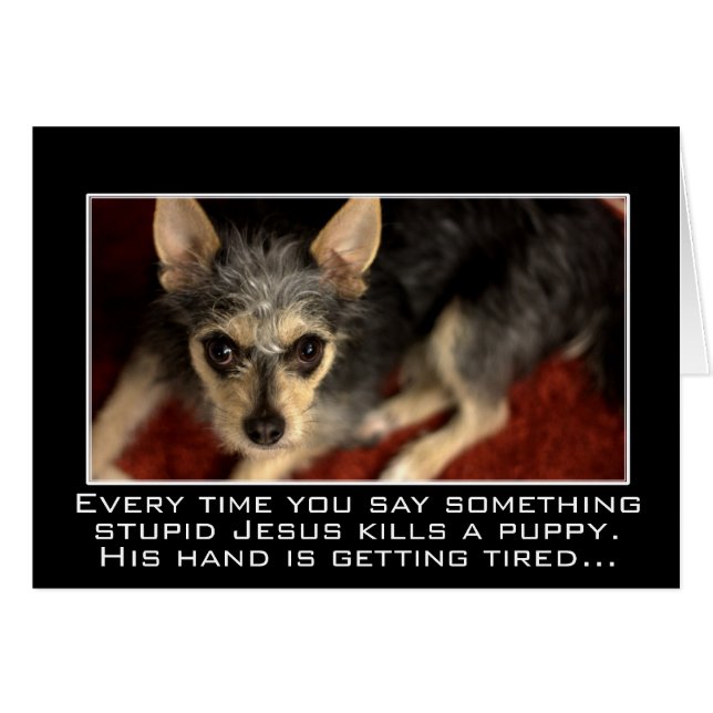 Stupidity kills the innocent (Front Horizontal)