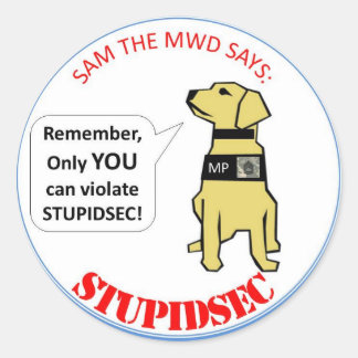 STUPIDSEC CLASSIC ROUND STICKER