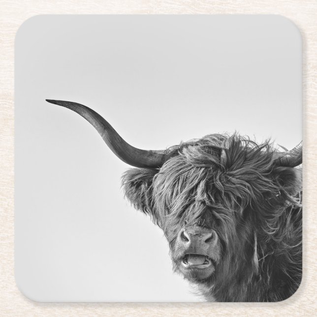 Sturdy highland cow in monochrome square paper coaster (Front)