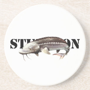 Sturgeon Coaster