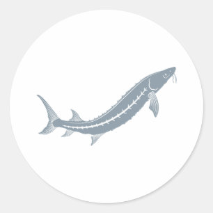 Sturgeon Fish Classic Round Sticker