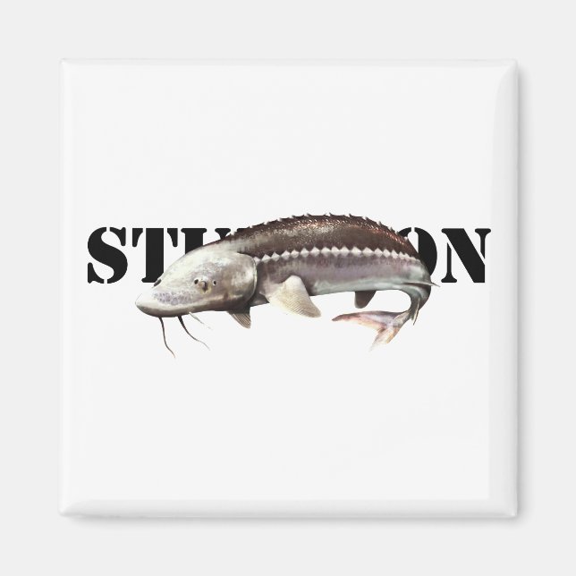 Sturgeon Magnet (Front)
