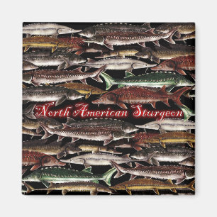 Sturgeon Magnet - North American Sturgeon