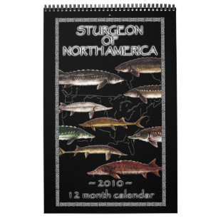 Sturgeon of North America 2010 Calendar