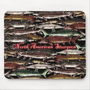 Sturgeon of North America Mouse Pad
