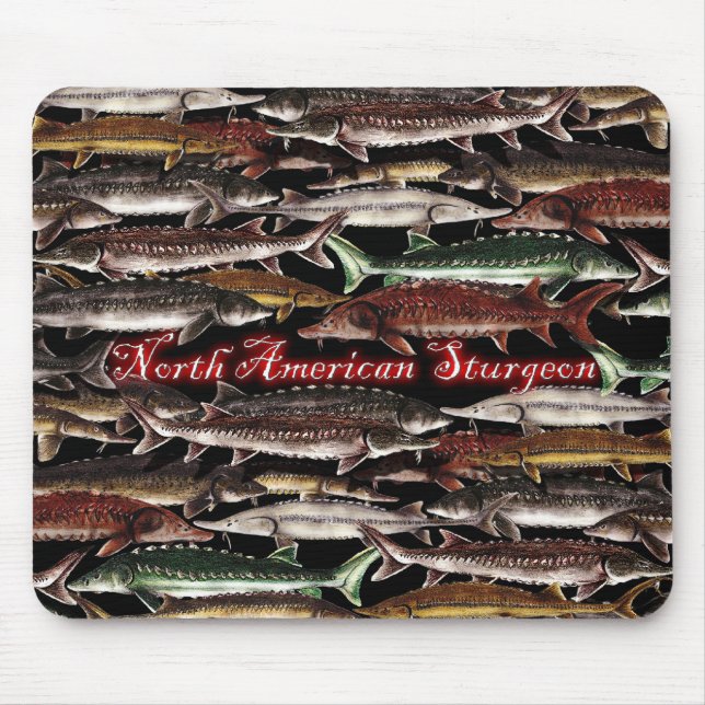 Sturgeon of North America Mouse Pad (Front)