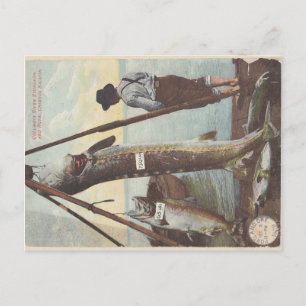 Sturgeon & Salmon Catch Postcard