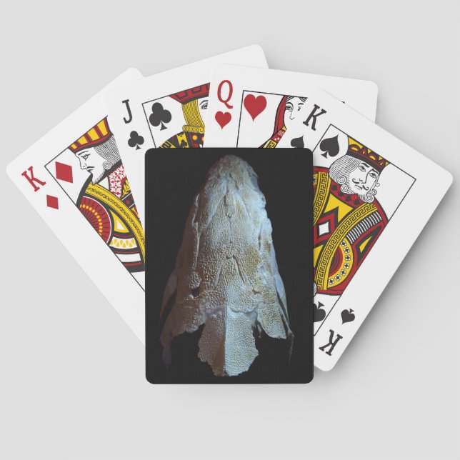 Sturgeon Skull Playing Cards (Back)