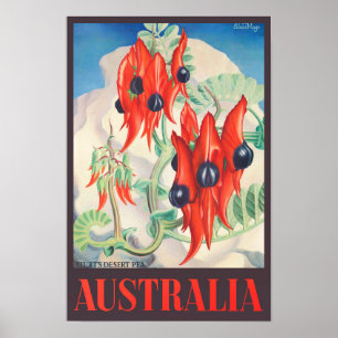 Sturt Desert Pea Australia vintage travel Poster
