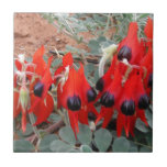 sturt desert pea ceramic tile<br><div class="desc">Wildwest collection</div>