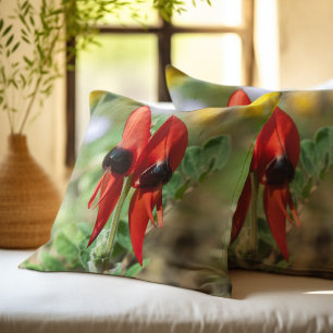 Sturt Desert Pea Cushion