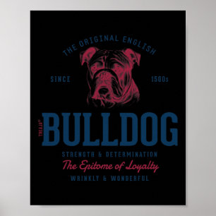 Styled Vintage English Bulldog  Poster